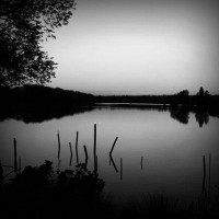 /album/document-imaging/photolia-b01-jpg/